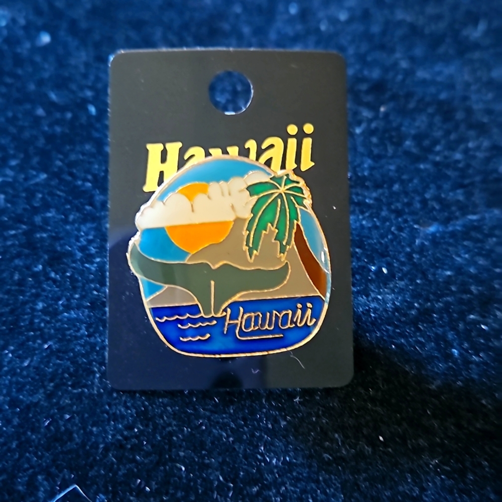 Hawaii lapel pin